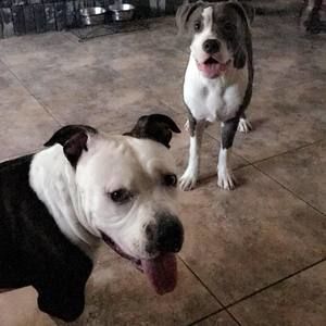 Meet your Posher, Leonard n